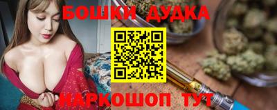 стафф Шелехов