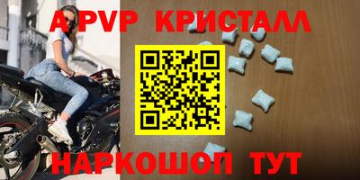 стафф Шелехов